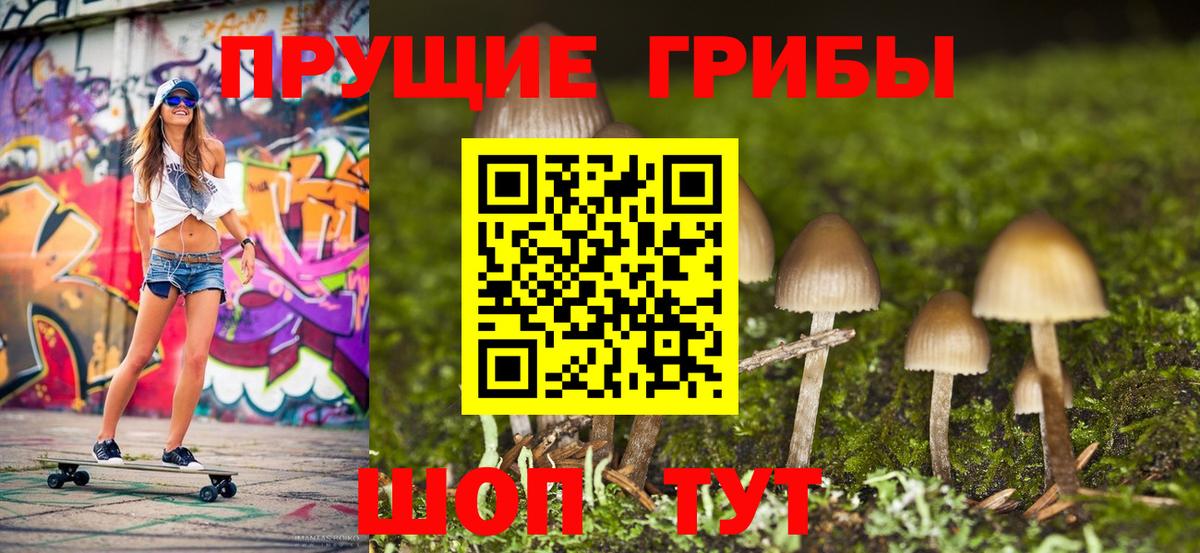 Псилоцибиновые грибы GOLDEN TEACHER  Галлюциногенные грибы GOLDEN TEACHER  Вход с VPN  наркота  Беслан 